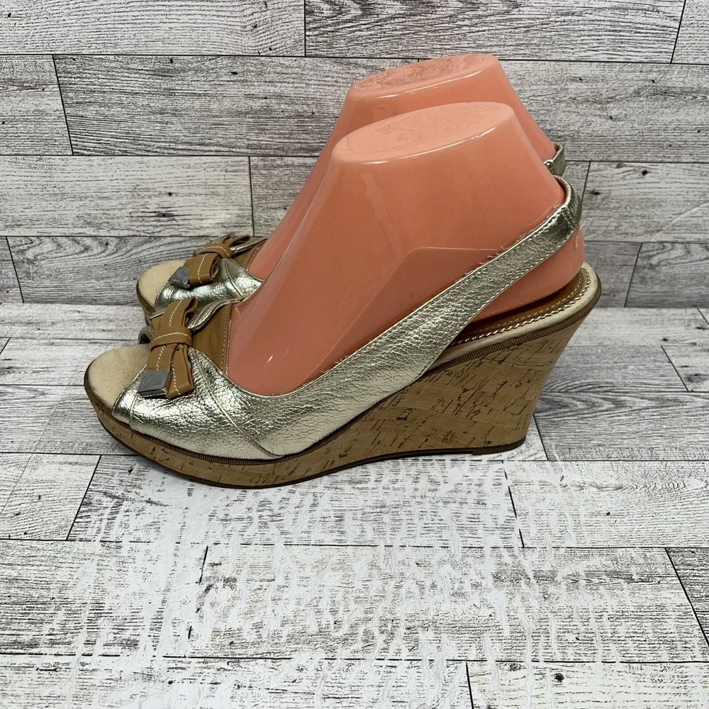 Sperry elevate your